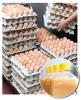 Of the estimated 215 million cases of eggs produced in 2009, 30% were removed from their shells and turned into liquid, frozen, and dried egg products used by the food service industry and as ingredients in other foods.