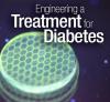 Diabetes - rotator