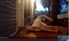 Someone doing yoga outside for a BlueJeans call.