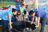 Cowan Road Middle school 7th graders control remotely operated underwater vehicle at ECOGIG Exhibit.