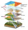 GIS4 Economic Development