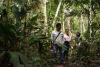 Researchers hiking into the rain forest