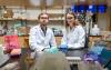 Studying bacterial behavior in the lab versus in humans