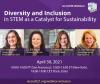 IACEE Webinar Promotion for Diversity and Inclusion in STEM as a Catalyst for Sustainability
