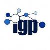 Internet Governance Project Logo