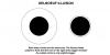 Delboeuf Illusion Drawing