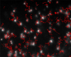 Nanosight Demo