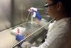 Pancreatic cancer cells and microRNA2