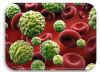 NanoFans Image 2014