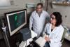 Studying nucleic acid computing