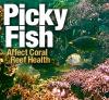 Picky Fish - Rotator