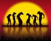 Pilobolus: Shadowland