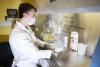 Researcher pipetting materials