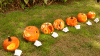 Students finished pumpkins on architecture lawn.