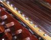 Sarod
