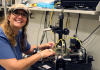Natalie Stingelin | Professor; School of Chemical and Biomolecular Engineering & the School of Materials Science & Engineering