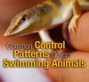 Studying Swimmers - rotator