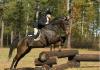 Deutschler and one of his many hobbies: a passionate equestrian