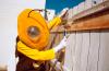 Georgia Tech mascot Buzz helps to repair a fence.
