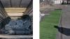 two images side by side. on the left is the interior of a truck container, stacked with gigantic rolls of artificial turf. on the right is a section of turf rolled out on the pavement.