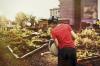 Urban Gardening