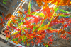Salon for Vision: Tangle Jungle